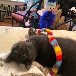 Meet your Posher, Margery k.